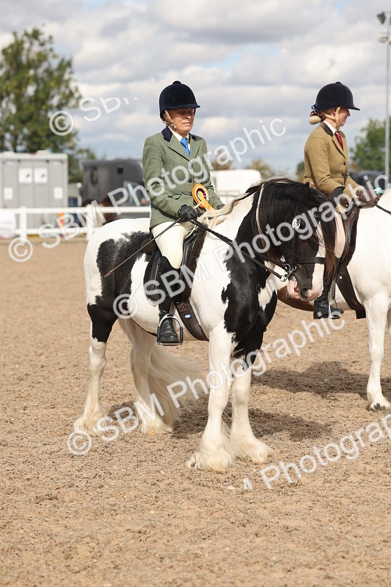 SBM_14698 - Class 307 - Ridden Coloured Pony