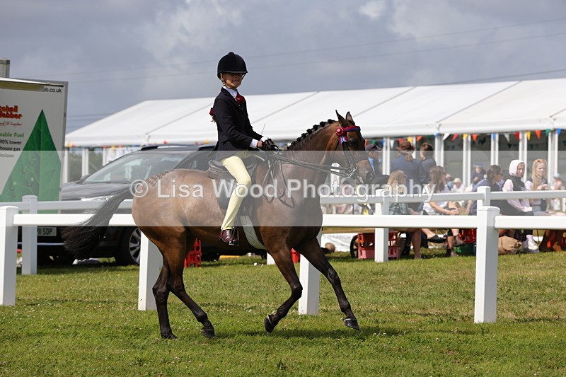 1X9A3889 - Class 31: Show Pony 148cm and under