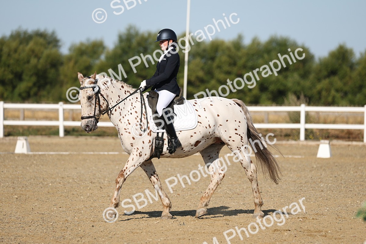 SBM_012675 - Class 1 - P5 Bronze 9.00.10.12