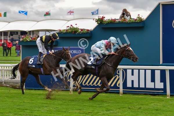 131023-Race 2-Lordship-9203 - Race 2 2.40pm William Hill Finale Handicap