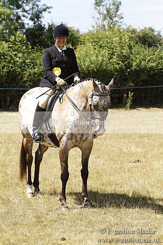 _BS_0869 - BVRC Show 2018 Ring 1