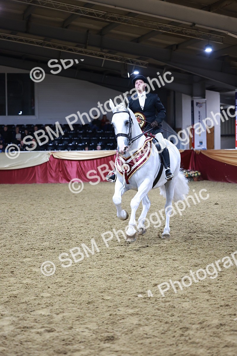 SBM_21591 - Class V - Champion of Champions