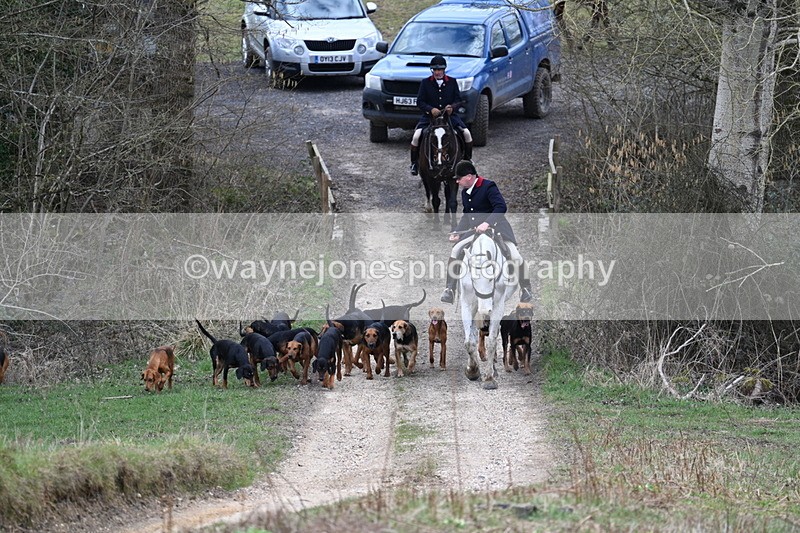 WJ7_7285 - Walk Home