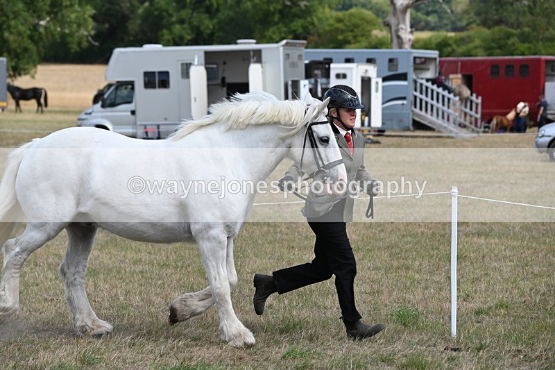 WJ6_6503 - Class 20 In-hand Cob