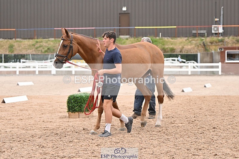 250716-160543-02403 - Trot Up 3.30 to 4.30