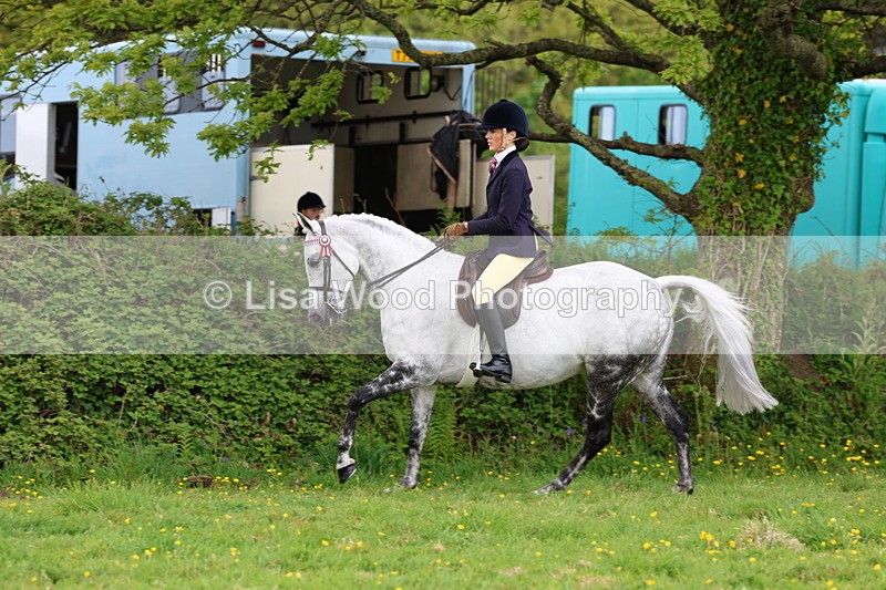 3E7A2112 - Class 11: Ridden Arab