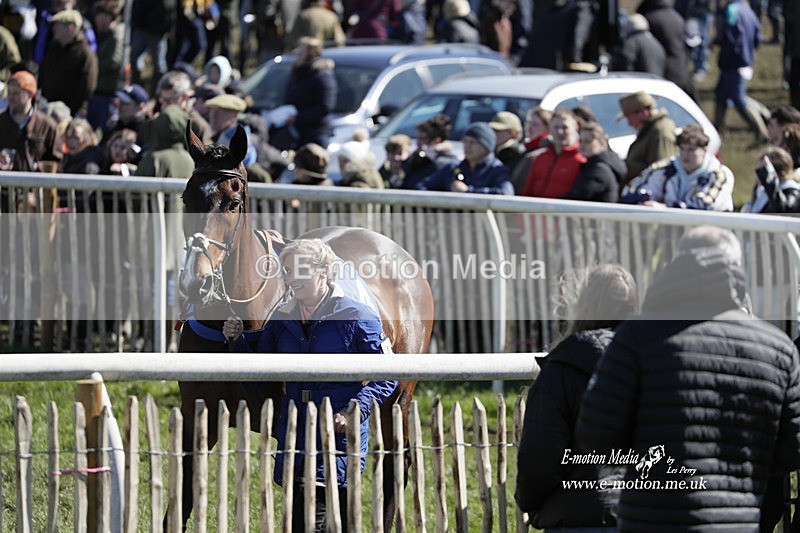 PtP 100423 564 - Old Berkshire Point-to-Point Lockinge 10/04/23