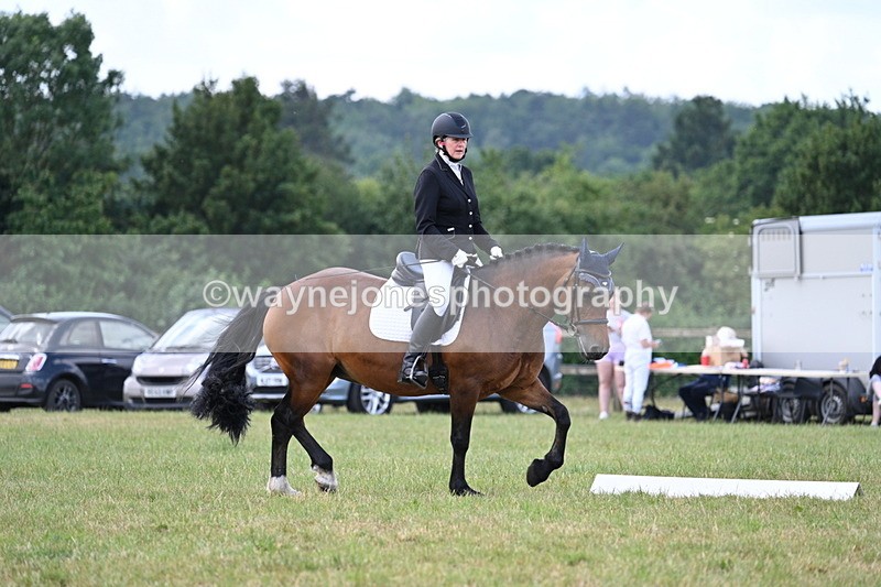 WJ7_5342 - Time 11:22 to 11:51