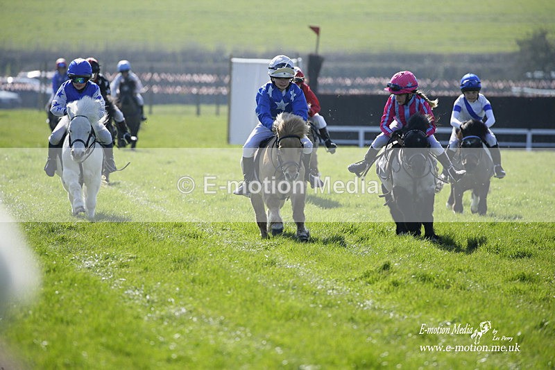 PtP 190322 1 - Wilton Hunt PtP Milborne St Andrew 19/03/22