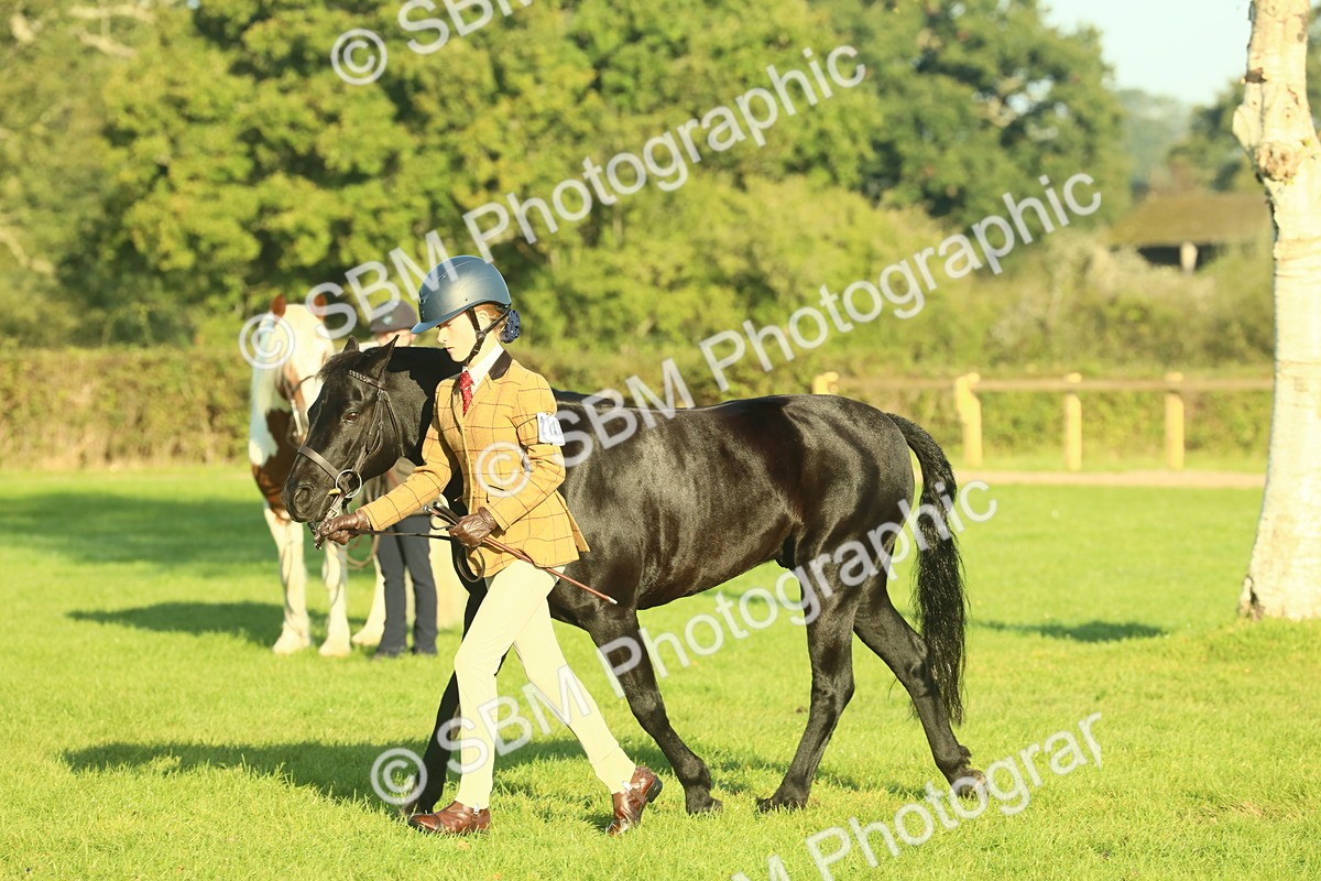 SBM_57440 - S37 - Starters In Hand Showing