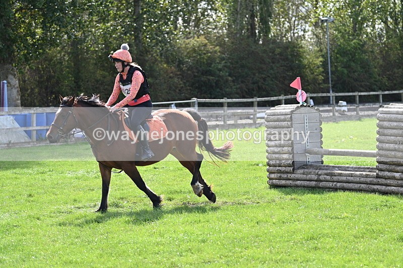 WJ7_9606 - Time 12:12 to 12:40