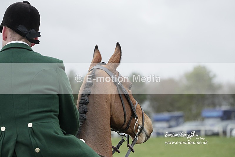 PtP 260323 0641 - New Forest Hounds Point-to-Point Larkhill 26/03/23