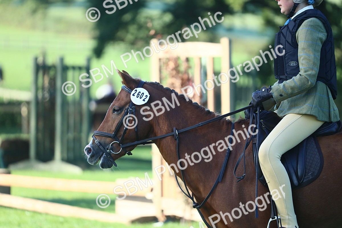 SBM_33387 - S28 - Nursery Stakes Working Hunter Pony