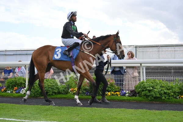 yr10062022r7-5 - Race 7 5.10pm Andy Thornton Hospitality Furniture Stakes