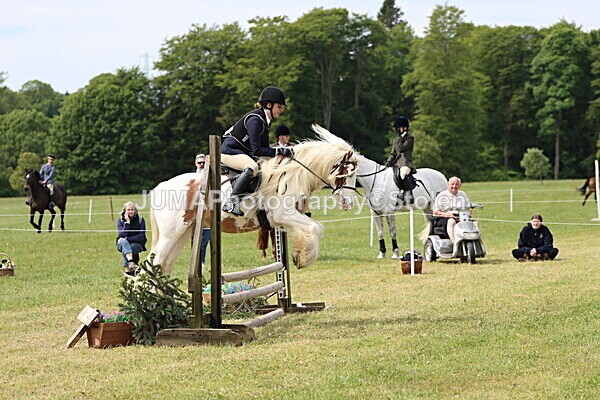 IMG_3056 - Working Hunter