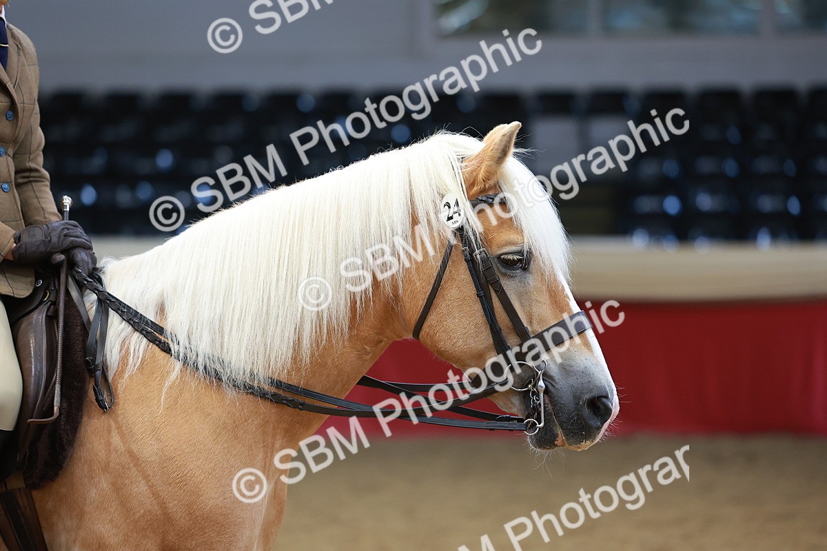 SBM_09714 - Class 102 - HOYS Veteran Qualifier - Ridden Veteran