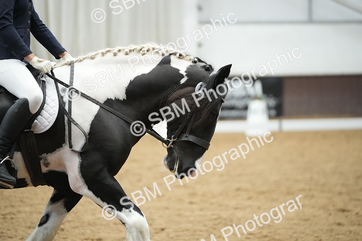 SBM_004377 - Class 11 - Elementary 2 Champs