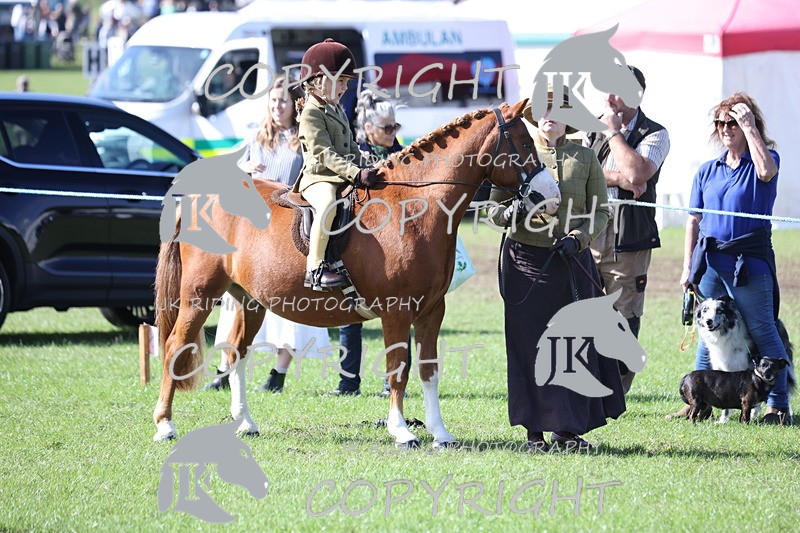 APP_3842 - Class 13 Lead rein