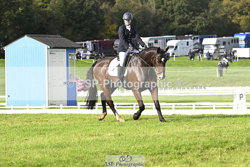 251023A-150206-04487 - E-385-Delilah.Wood