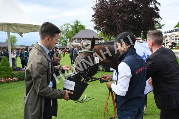 yr22052022r4-42 - Race 4: 5:05pm Sky Bet Sunday Mile
