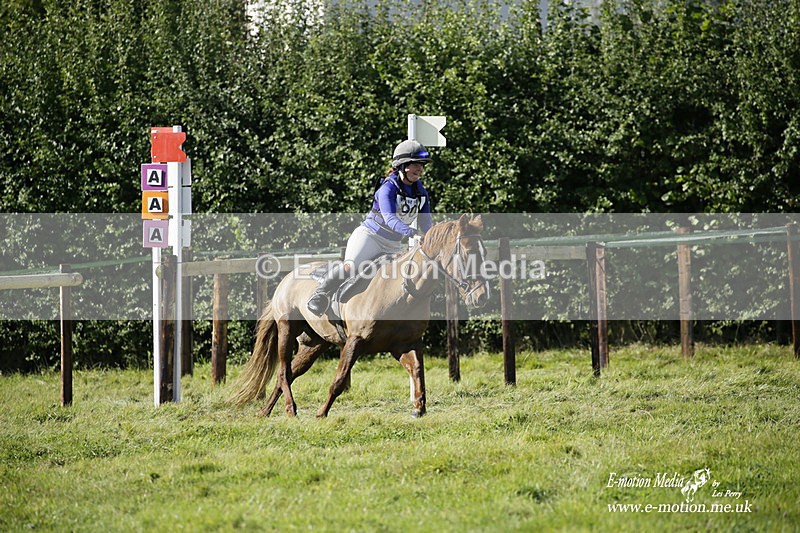  WWHT 031021 1542 - Open Novice (0.80m) 03/10/21