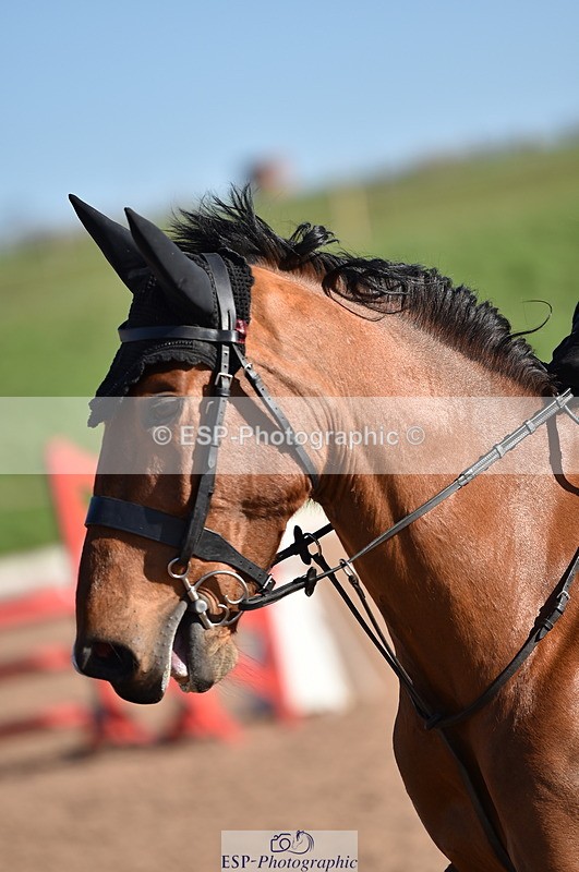 240306A-101536-00736 - Cls 1 British Novice and 90cm Open