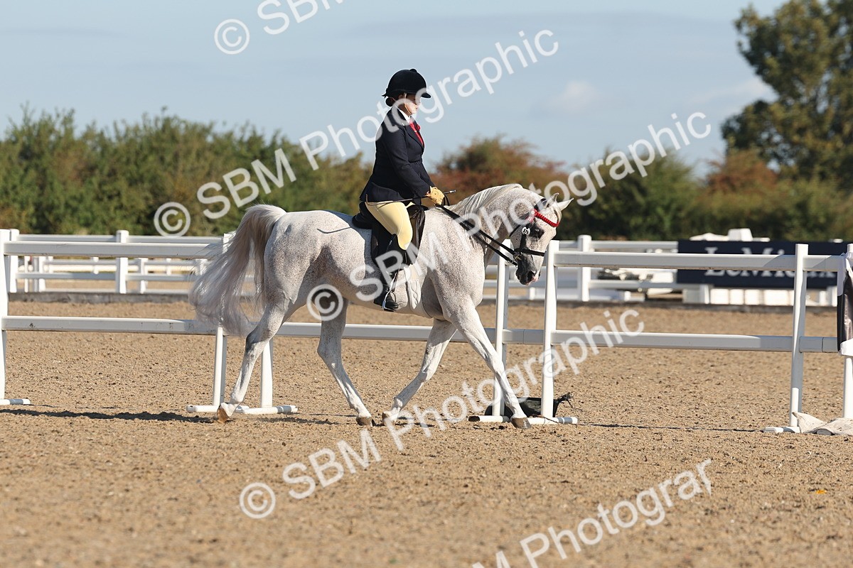 SBM_12210 - Class 303 - Ridden Pure Bred Horse Pony
