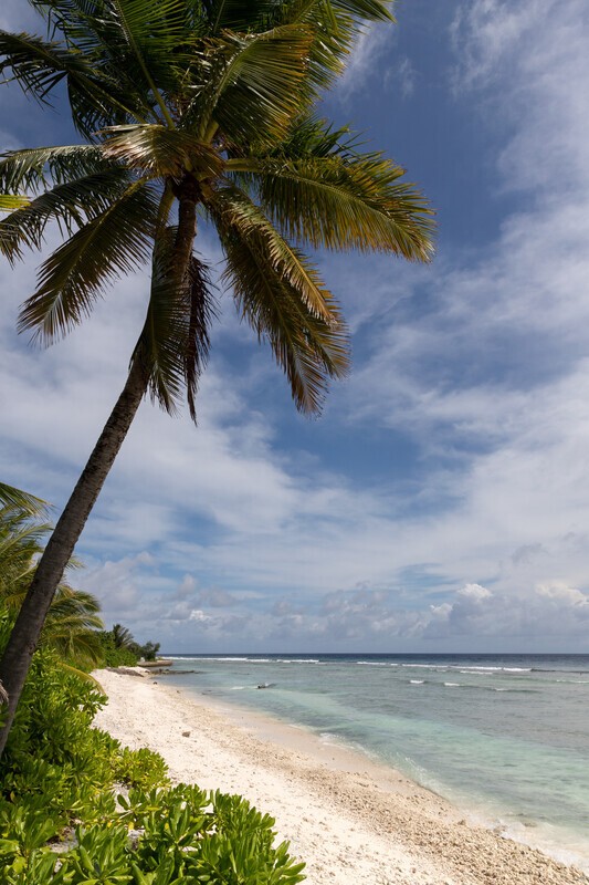 In Paradisum - Latest Images