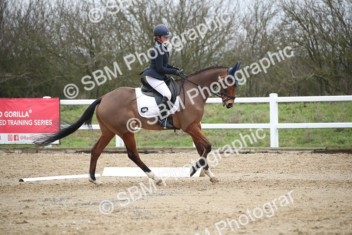 SBM_004739 - Novice 3