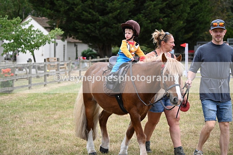 WJ6_4812 - Class 11 Fancy Dress