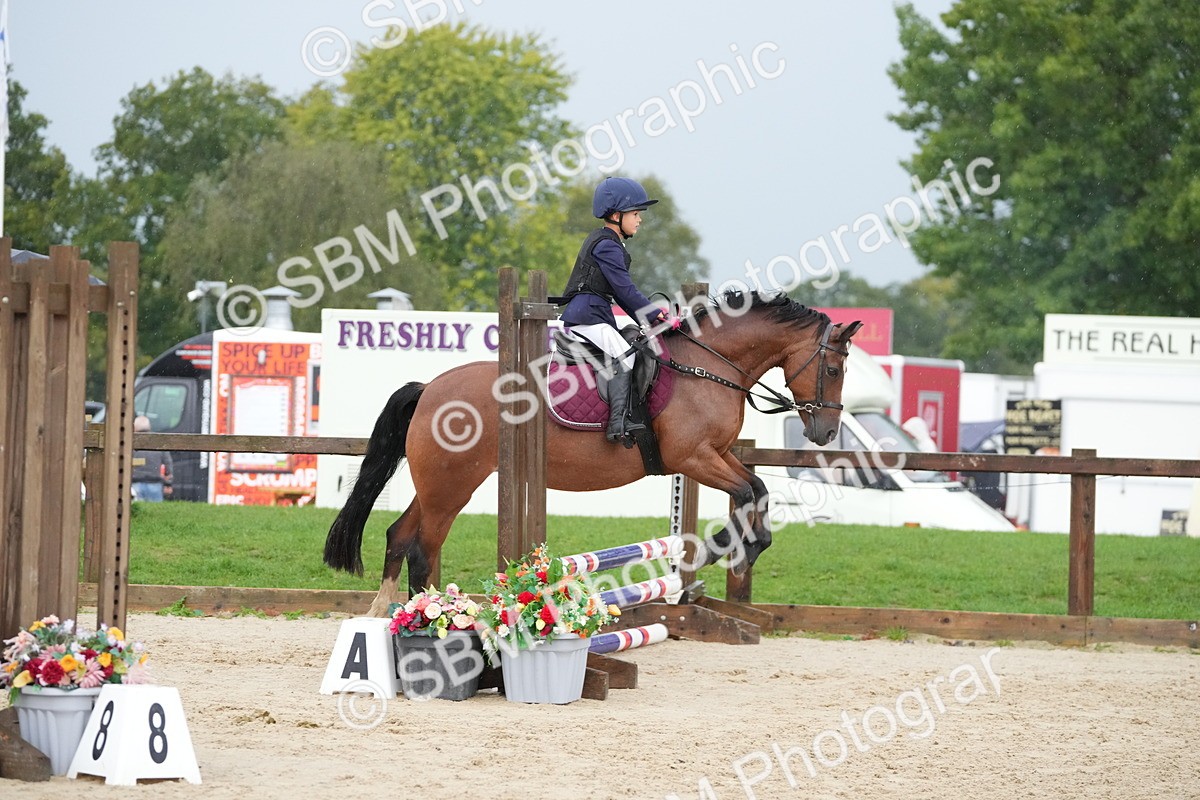 SBM_33835 - J5 - Junior Pony 50cm Championship