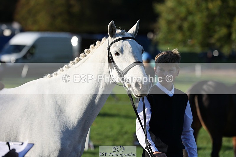 241027-084747-14825 - 381-William.Falango-JUST.BE.JACK