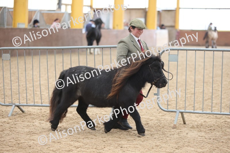 20251109-0230 - Class 11 - 2 and 3 Year Old