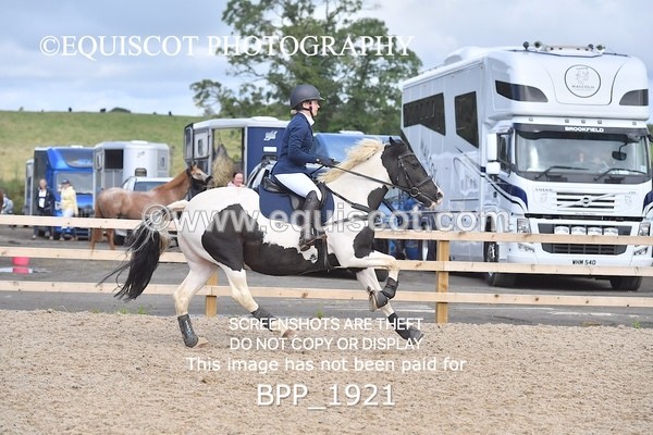 BPP_1921 - DERBY CLASS 5 - 60CM