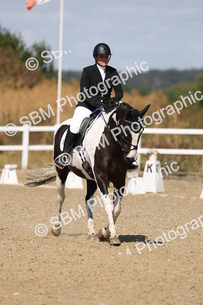 SBM_013650 - Class 1 - P5 Bronze 10.38.12.02