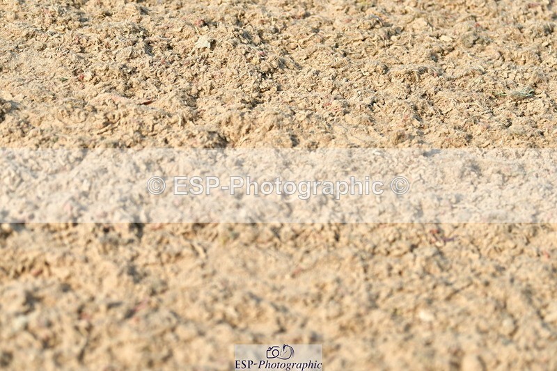 230721A-090623-04602 - Cls 26, 5 Yr Olds 1.10m