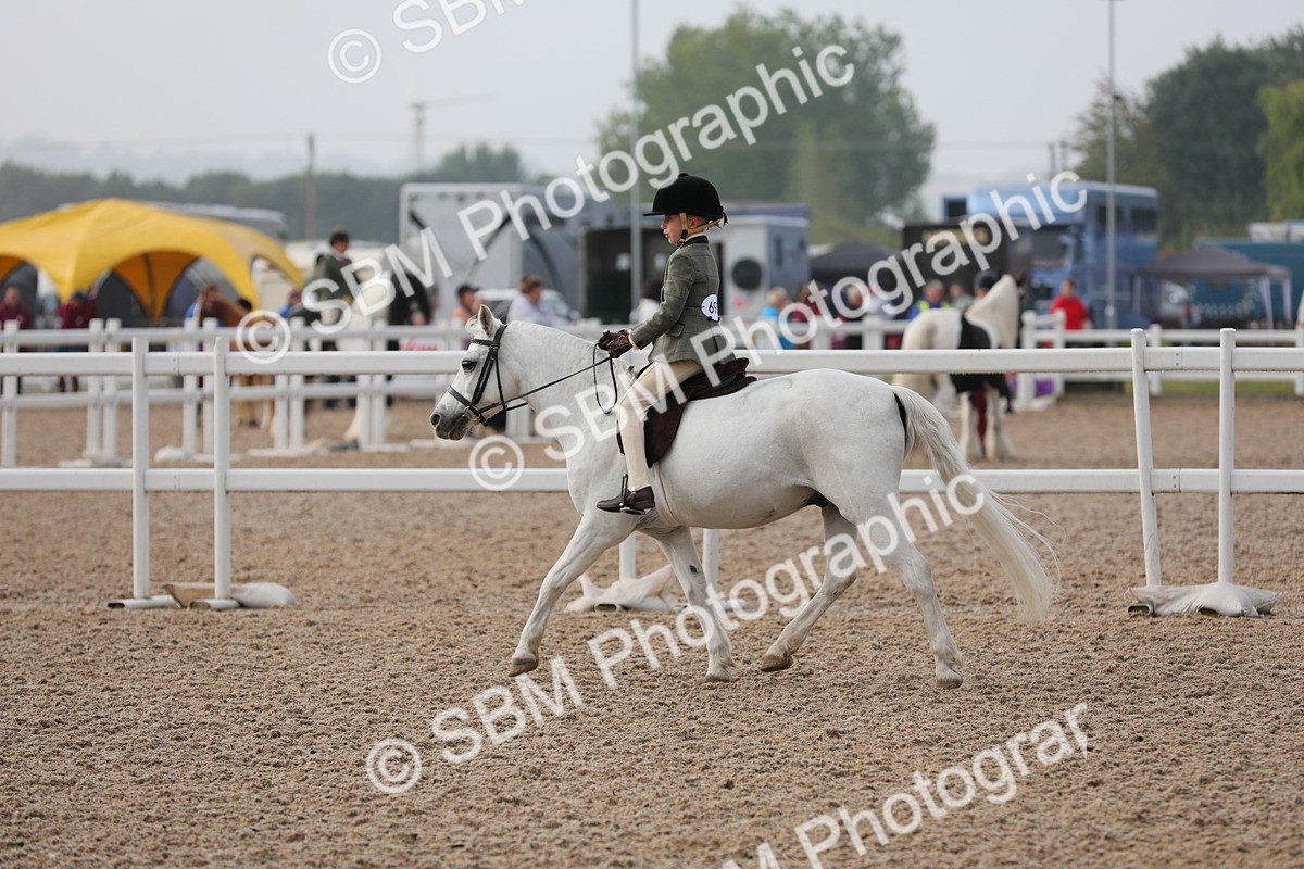 SBM_09655 - Class 301 Ridden M&M -Small Breeds
