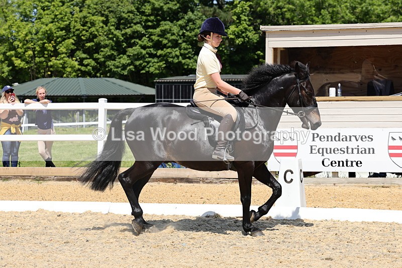 1X9A1700 - Class 11: Ridden Cob