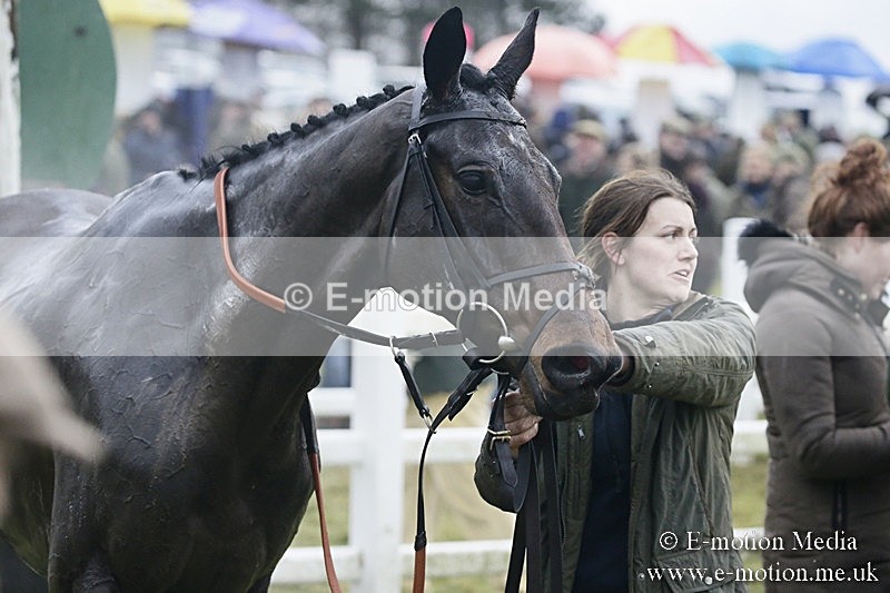 PtP 031217 795 - Hursley Hambledon Point-to-Point Larkhill 03/12/17