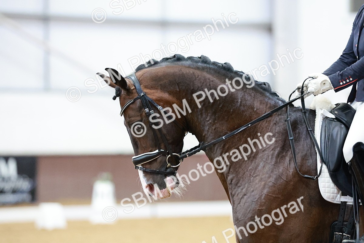 SBM_006249 - Class 3 - Medium 6 - 16.16-17.28