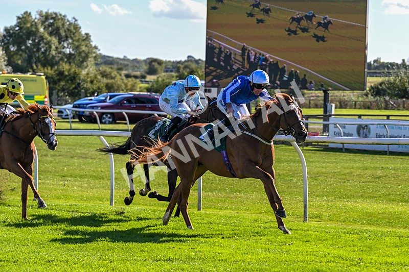 300926-Race 2-Gold Key-5986 - Race 2 2.32pm EBF Maiden Stakes