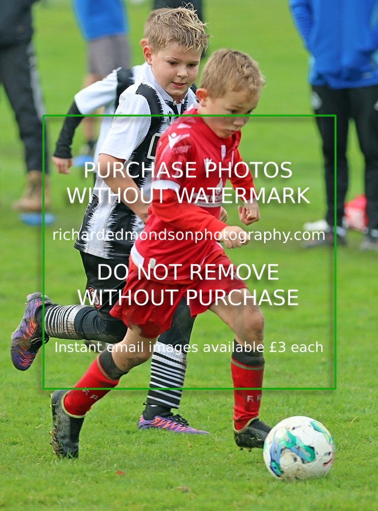 IMG_7200 - Ibis Under 8's (19/10/24)