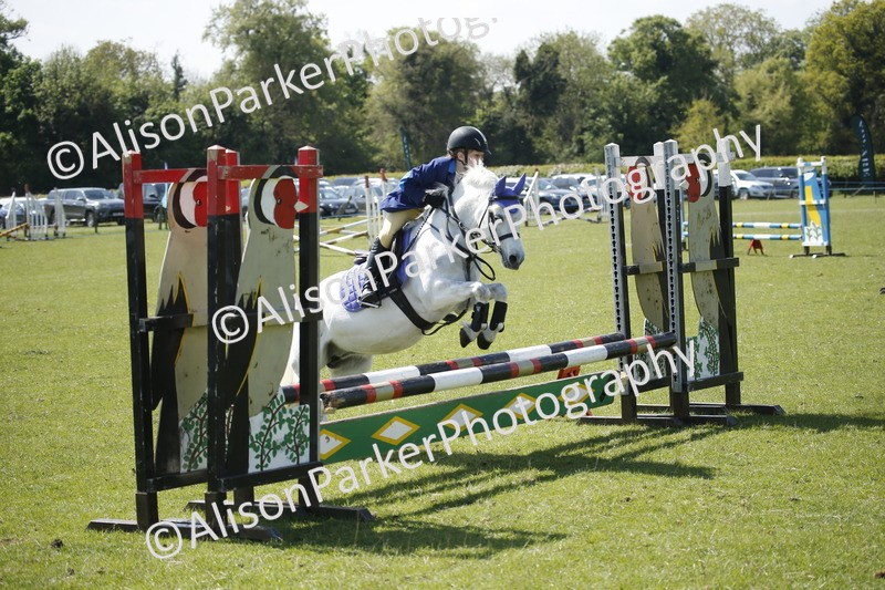 20250427-2327 - Class 13 - Novice Jumping 60cm