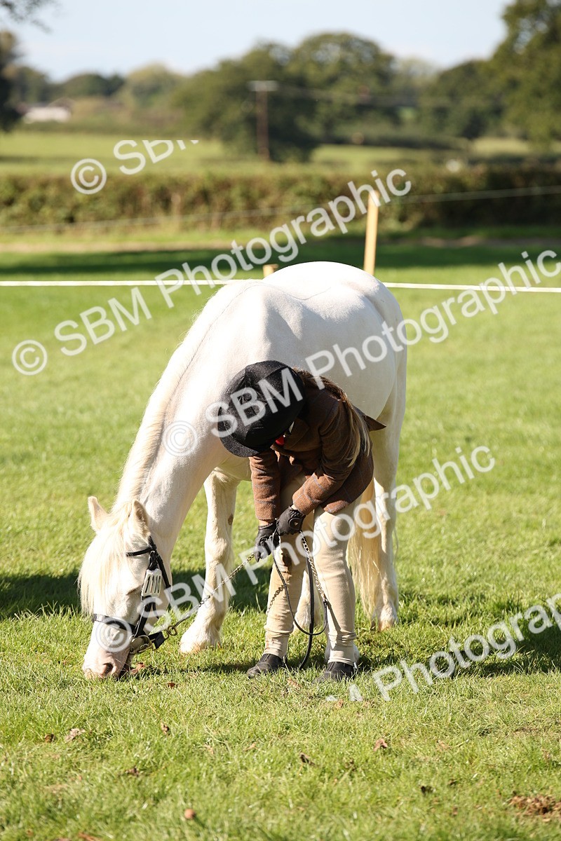 SBM_36674 - S10 - Best In Hand Horse & Pony
