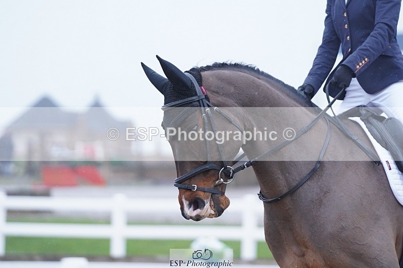 250215-103210-02817 - 143-Charlie.Cornish-Dali.Van.Het.Burghof.Z