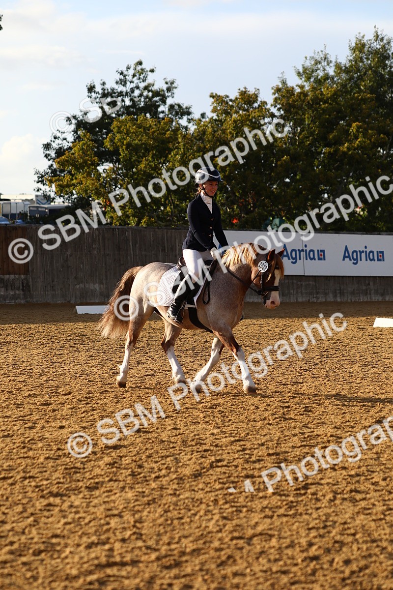 SBM_31640 - D11 - Small Tour Championship Prelim 1