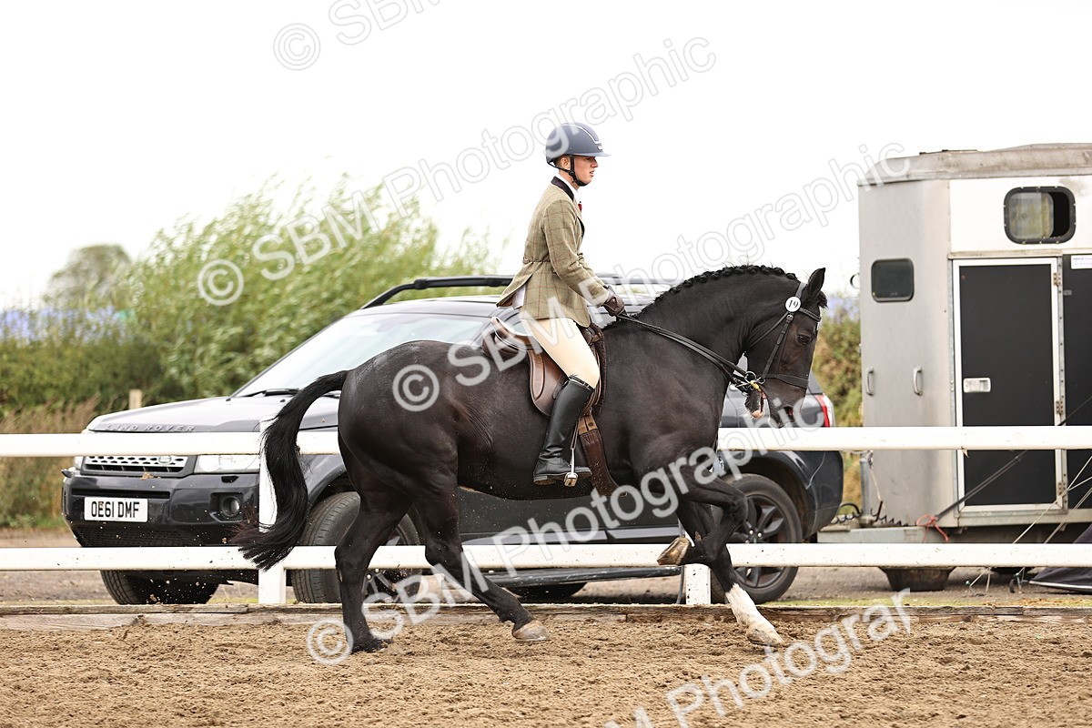 SBM_01359 - Class 54 - Riding Club Horse Pony