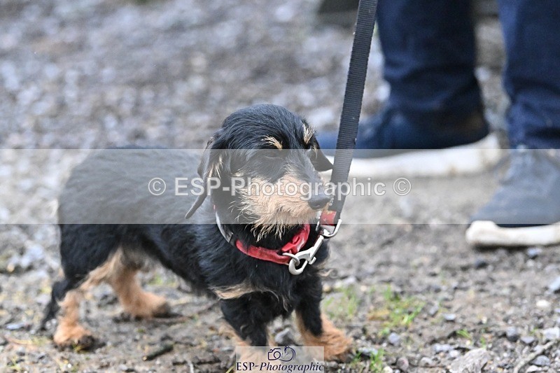 241206-144155-01118 - Naomi