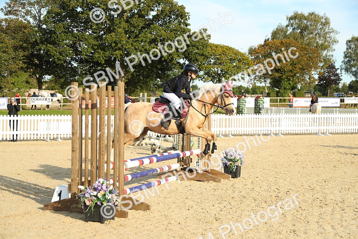 SBM_53629 - J8 - Junior Pony 65cm Championship