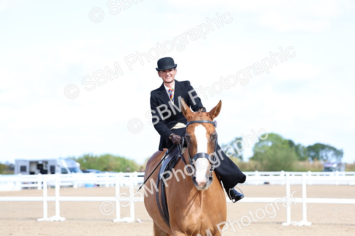 SBM_11238 - Class 306 - Ridden Foreign Breeds - Part Bred